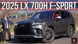 Image result for Manganese Luster 2025 LZ