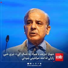 صابرہ ورته ولیکه کیسه په دېوالونو بدبخته پښتانه د کتابونو نه بېزار دي