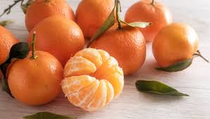 Mes Mandariniers Ne Font Pas De Fruits