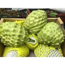 Na bở đài loan có nguồng gốc từ đài loan, là đặc sản của đất nước này. Cay Na Bá»Ÿ Ä'ai Loan Gia Cáº¡nh Tranh