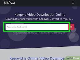 All you need to do is to enter the url in the text box provided and use the button labeled. 6 Ways To Download Any Video From Any Website For Free Wikihow