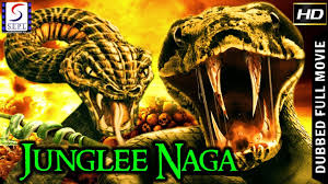 Daily Movies Hub Download Latest Movies 2019 Junglee Mp4 3gp Mp3 Flv Webm Pc Mkv Bengali movie download via instube. latest movies 2019 junglee mp4 3gp