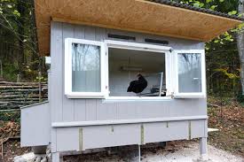 Doch irgendwo müssen die hühner leben. Tiny And Small Houses Gartenhuhner 4 Huhnerstall Planen Bauen Tiny And Small Houses