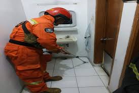 Cari tahu mengapa ular masuk ke rumah anda. Seekor Ular Masuk Ke Rumah Warga Di Kabupaten Bandung Republika Online