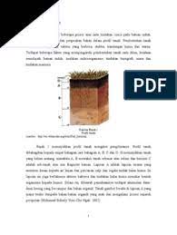 Soil, land, bokep, tenant, landlord, sinkhole, peat soil, floor plan. Tanah Gambut