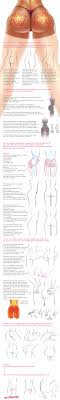 Drawing Tutorial Request Butts And Such Album On Imgur
