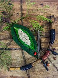 Kuntanawa Courage Sacred Plant Shaman Culture Art