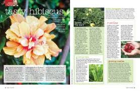 Check spelling or type a new query. Edible Hibiscus Burke S Backyard