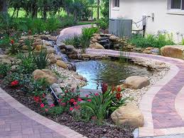 Koi and goldfish spawning season sneaks up on pond owners. What Is The Difference Between A Koi Pond And A Water Gardens Pond