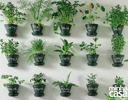 9 Temperos Para Cultivar Em Casa Minha Casa
