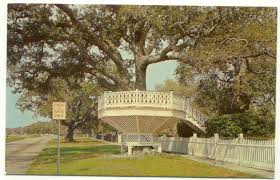 It's the who, what, where and when of biloxi. Biloxi Ms Shoo Fly Platform Oak Tree Postcard Mississippi Ebay