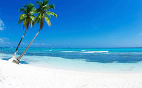 Palmen Am Absoluten Traumstand Fototapete Sandstrand 3 Dd106526 Awallo Fototapeten Dekopanels Wandtapete Fototapete Strand Wallpaper Tapeten Wandbilder