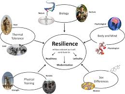 Perspectives On Resilience For Military Readiness And Preparedness Report Of An International Military Physiology Roundtable Sciencedirect