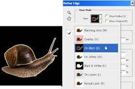 How to keep them out and away from your property. Get Rid Of Those Pesky Edge Halos In Photoshop Sitepoint