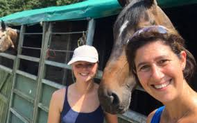 Read About Our Grooms Working With Horses