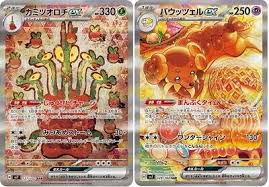 Image result for Diaphananthe sp.no.1. (Ball 657)