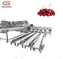 Chinese Suppliers Automatic Size Sorting Color Sorting ...