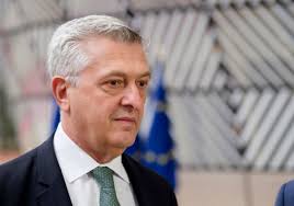 Image result for Bidens grandis