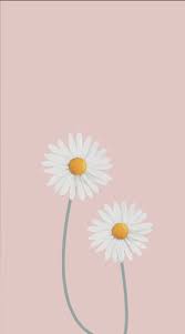 Pin On Anime Wallpaper Iphone