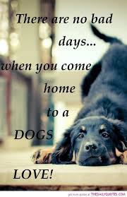 Quotes And Sayings About Dogs Motivational Love Life Quotes Sayings Poems Poetry Pic Picture Photo Dog Quotes I Love Dogs Dog Love
