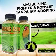 In short it is an online magnificent robot tool that queries major crypto exchanges in real time and finds arbitrage opportunities according to your. Pakan Lovebird Fighter Goldcoin Pakan Lovebird Fighter Goldcoin Efek Pakan Perkutut Gold Coin Buat Lovebird Tentang Kolam Kandang Ternak Cara Pemberian Hanya Di Berikan Di Hari Lomba Atau Seminggu Sekali Untuk