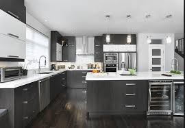 Epingle Par Julieannelaw Sur Kitchens Cuisine Moderne Armoire De Cuisine Armoires De Cuisine Noirs