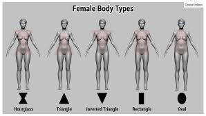 Female anatomy pictures images photos. Artstation Female Anatomy Tutorial Donna Urdinov