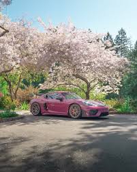 Image result for Ruby Star 2025 Porsche