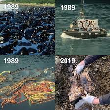 Economics and oil spills | economics of global climate change. Public Input Needed To Safeguard State Protections