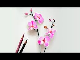 Step By Step How To Draw Color A White Magnolia Flower With Colored Pencils Emmy Kalia Youtu Color Pencil Drawing Colored Pencil Tutorial Flower Drawing