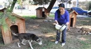 Hayvanseverlerin Barinak Ziyareti Gundem Www Habercicanakkale Com Canakkale Nin Son Dakika Haber Sitesi