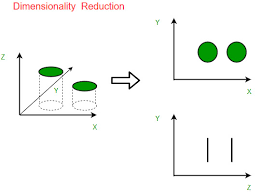 نتیجه جستجوی لغت [reduction] در گوگل