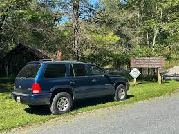 Image result for Forest Green 2001 Durango