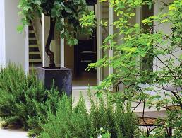 Notting Hill Garden Jinny Blom Garden On A Hill Urban Garden Patio Garden