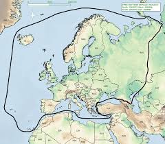 Image result for Scrobipalpula diffluella