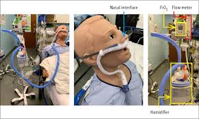 Image result for Moderate Flow Oxygen