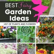 Making your own fairy garden is easy and fun. 15 Of The Best Fairy Garden Plants And Flowers Listotic