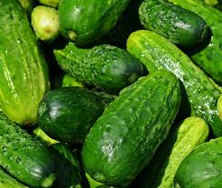 Image result for Cucumis