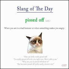 Facebook English Idioms Advanced English Vocabulary Learn English Words