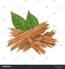 Image result for Corynanthe