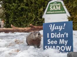 Ontario Groundhog Day 2024 Predictions And Odds For Early Spring
