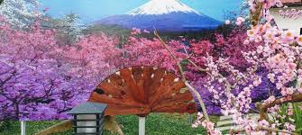 Tempat tersebut dinamai bukit sakura kemiling atau taman sakura. Lokasi Dan Harga Tiket Masuk Istana Sakura Blitar Serunya Menikmati Suasana Serasa Di Jepang Daka Tour