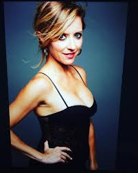 Christine Lakin Sexy Porn Pictures, XXX Photos, Sex Images 3654816 - PICTOA