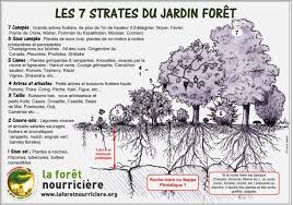Synergie Vegetale Stage De Jardin Foret En 2020 Jardin Foret Jardin Forestier Verger