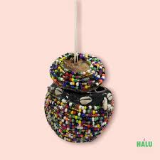 Image result for Ozoroa nigricans