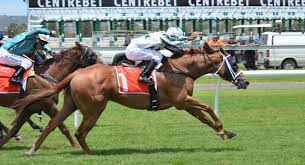 Jockey Club Entitled To Gst Input Tax Deductions For Stakes Payments -  Munro Benge Chartered Accountants Limited