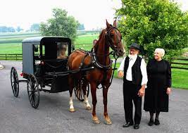The amish approach to electricity is somewhat complicated. Why Do The Amish Fear Modern Technology Quora