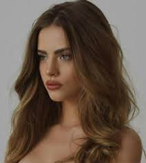 Meredith Fanfiction Stories