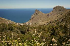 View Over The Sea From The Mountain Above The Village Taganana In Anaga Rural Park Tenerife Stock Photo Image Of Horizon Forest 186875568