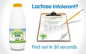 Could You Be Lactose Intolerant Just Milk